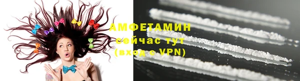 mdpv Краснослободск