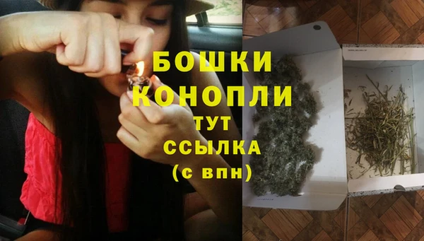 mdpv Краснослободск