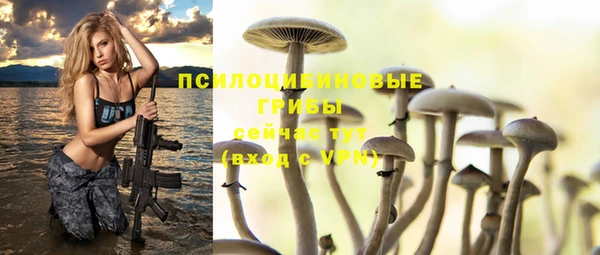 mdpv Краснослободск